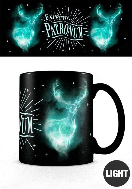 HARRY POTTER - Glow in the Dark Mug 315 ml - Expec - Harry Potter - Merchandise - PYRAMID - 5050574249560 - 7. februar 2019
