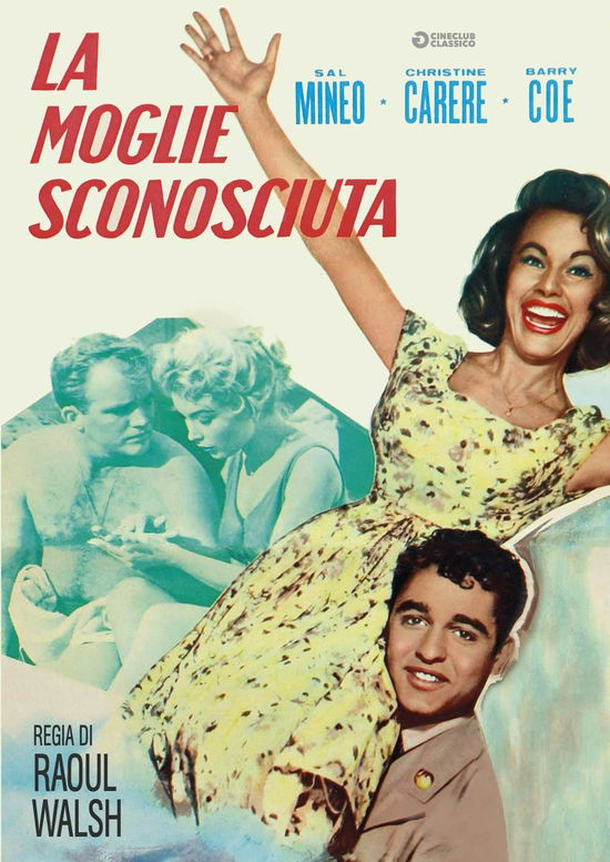 Cover for Moglie Sconosciuta (La) (DVD) (2020)