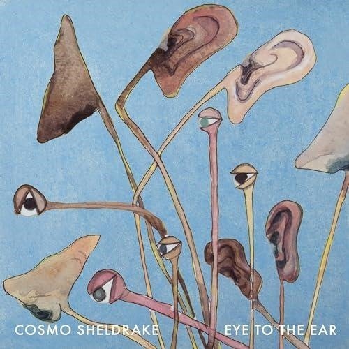 Eye To The Ear - Cosmo Sheldrake - Musiikki - TARDIGRADE RECORDS - 8785260881560 - perjantai 12. huhtikuuta 2024