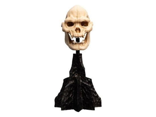 Cover for Open Edition Polystone · Herr der Ringe Mini Statue Skull of Lurtz 14 cm (Toys) (2025)