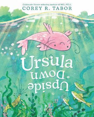 Cover for Corey R. Tabor · Ursula Upside Down (Hardcover Book) (2024)