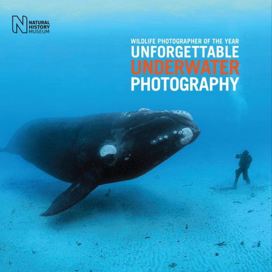 Cover for Rosamund Kidman Cox · Wildlife Photographer of the Year: Unforgettable Underwater Photography (Inbunden Bok) (2018)