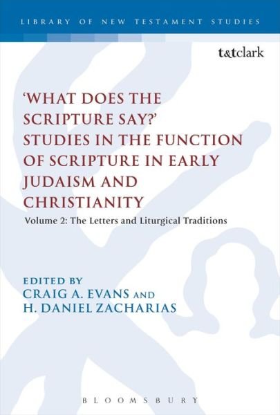 Cover for Craig a Evans · What Does the Scripture Say?' Studies in the Function of Scripture in Early Judaism and Christianity: Volume 2: The Letters and Liturgical Traditions - The Library of New Testament Studies (Taschenbuch) (2013)