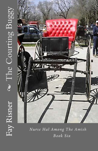 Cover for Fay Risner · The Courting Buggy: Nurse Hal Among the Amish (Volume 6) (Paperback Book) (2014)