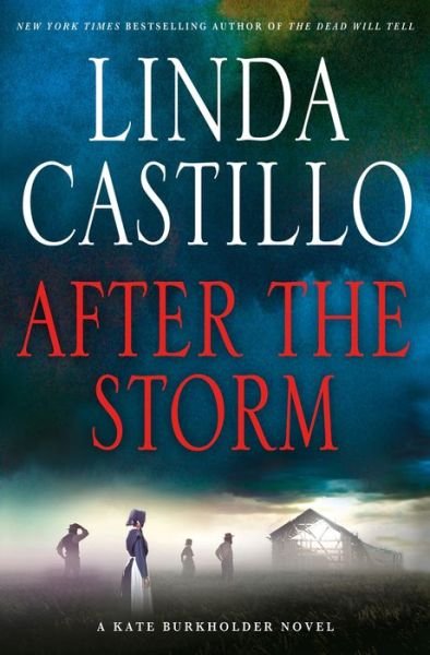 Cover for Linda Castillo · After the Storm (Innbunden bok) (2015)