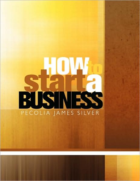 Cover for Pecolia James Silver · How to Start a Business (Paperback Book) (2009)