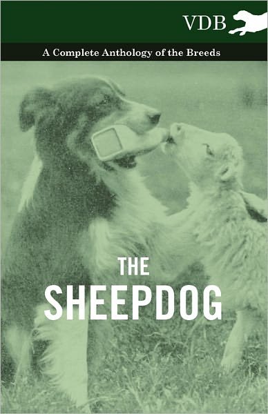 Cover for The Sheepdog - a Complete Anthology of the Breeds (Paperback Book) (2010)