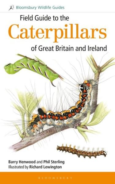 Cover for Dr Phil Sterling · Field Guide to the Caterpillars of Great Britain and Ireland - Bloomsbury Wildlife Guides (Pocketbok) (2020)
