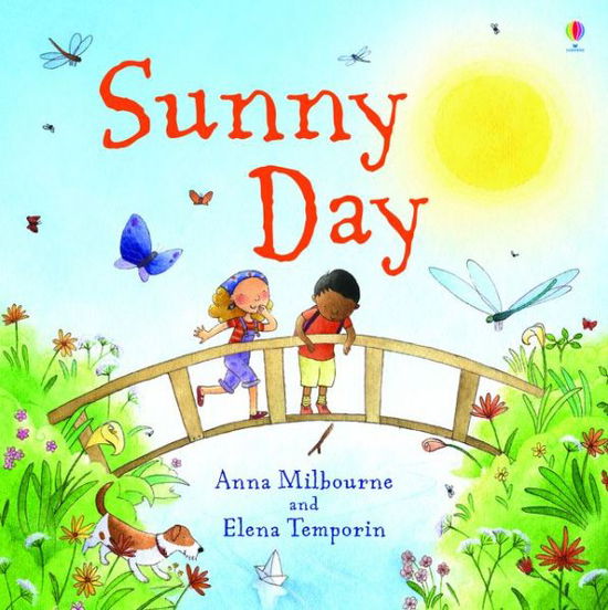 Cover for Anna Milbourne · The Sunny Day - Little Board Books (Board book) (2020)