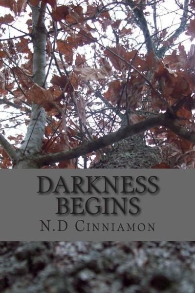 Cover for N D Cinniamon · Darkness Begins (Paperback Book) (2014)