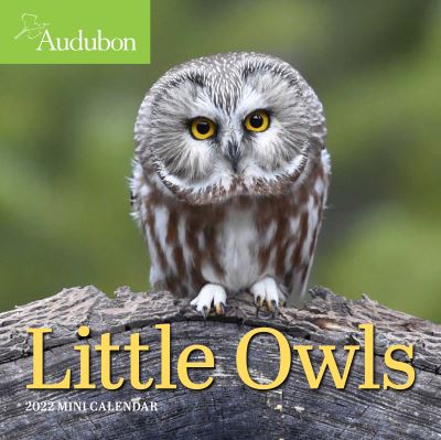 Cover for National Audubon Society · 2022 Audubon Little Owls Mini (Calendar) (2021)