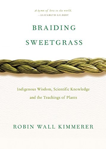 Cover for Robin Wall Kimmerer · Braiding Sweetgrass (Buch) (2015)