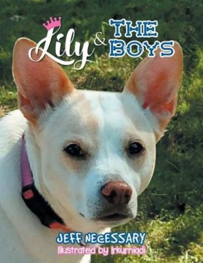 Cover for Jeff Necessary · Lily and The Boys (Paperback Book) (2018)