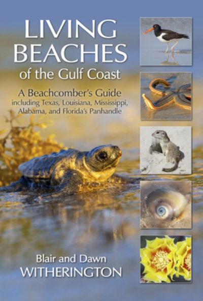 Cover for Blair Witherington · Living Beaches of the Gulf Coast: A Beachcombers Guide including Texas, Louisiana, Mississippi, Alabama and Florida's Panhandle (Paperback Book) (2022)