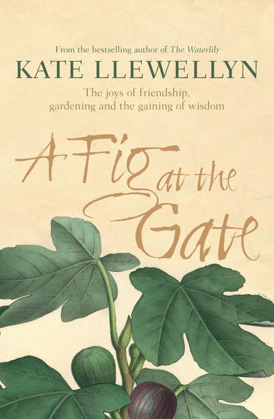 Cover for Kate Llewellyn · A Fig at the Gate: The Joys of Friendship, Gardening and the Gaining of Wisdom (Paperback Book) [Main edition] (2016)