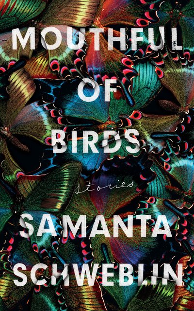 Cover for Samanta Schweblin · Mouthful of Birds: LONGLISTED FOR THE MAN BOOKER INTERNATIONAL PRIZE, 2019 (Paperback Bog) (2019)