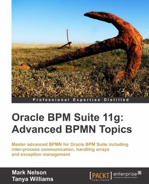 Oracle BPM Suite 11g: Advanced BPMN Topics - Mark Nelson - Boeken - Packt Publishing Limited - 9781849687560 - 28 september 2012