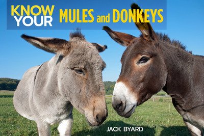 Cover for Jack Byard · Know Your Donkeys &amp; Mules (Paperback Book) (2020)