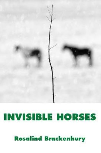 Cover for Rosalind Brackenbury · Invisible Horses (Taschenbuch) (2019)