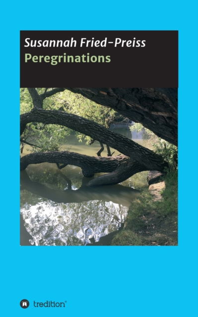 Peregrinations - Susannah Fried-Preiss - Boeken - Tredition Gmbh - 9783347105560 - 15 juli 2020