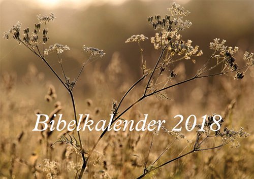 Bibelkalender 2018 -  - Bøger - Lohse - 9788756463560 - 26. oktober 2017