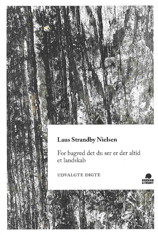 Cover for Laus Strandby Nielsen · For bagved det du ser er der altid et landskab (Sewn Spine Book) [1st edition] (2024)