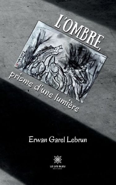 Cover for Erwan Garel Lebrun · L'ombre, prisme d'une lumiere (Paperback Bog) (2022)