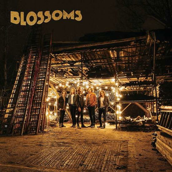 Cover for Blossoms (LP) (2016)