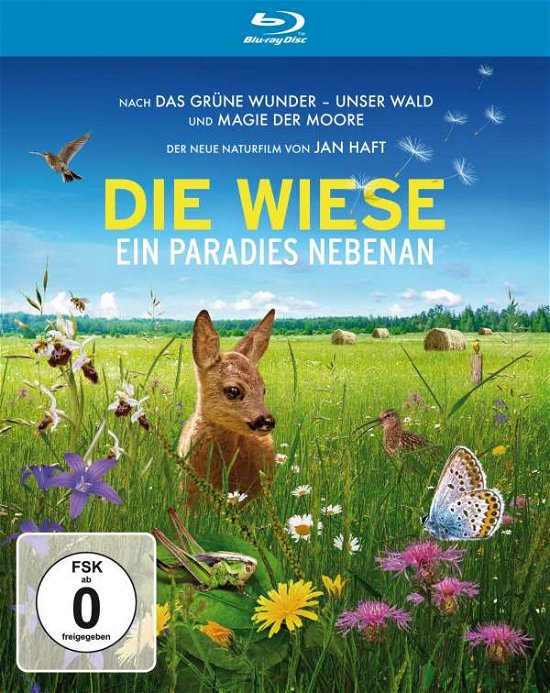 Cover for Sebastian Winkler · Die Wiese-ein Paradies Nebenan (Blu-ray) (2019)