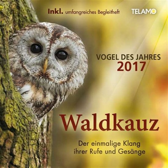 Cover for Vogel Des Jahres 2017 · Der Waldkauz (CD) (2017)