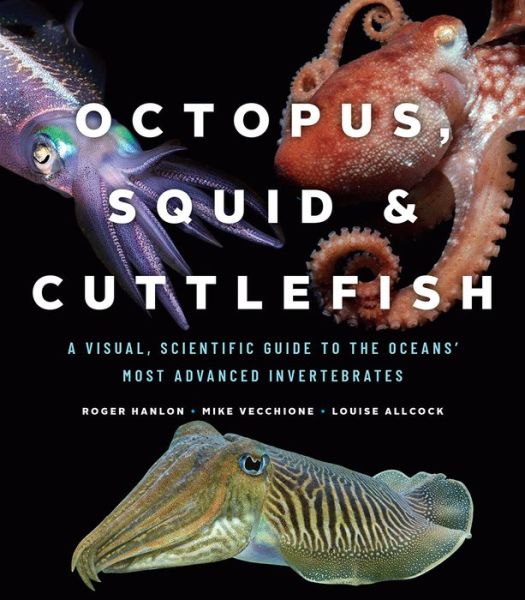 Cover for Octopus, Squid, and Cuttlefish (Pocketbok) (2018)