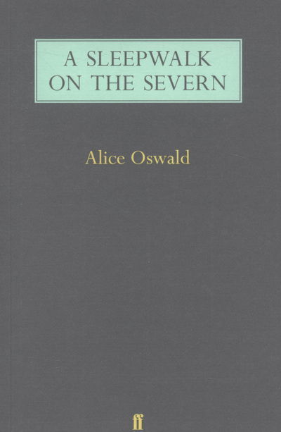 Cover for Alice Oswald · A Sleepwalk on the Severn (Taschenbuch) [Main edition] (2009)