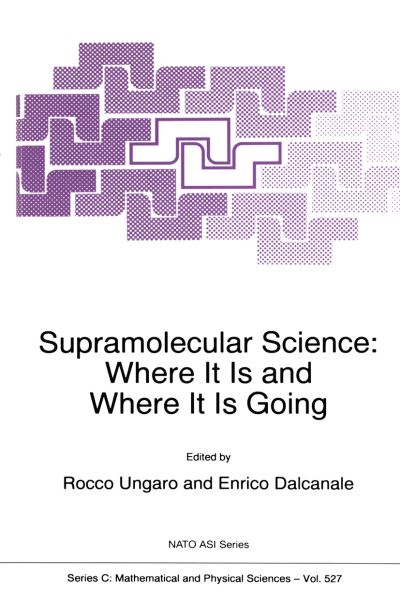 Supramolecular Science: Where It Is and Where It Is Going - NATO Science Series C - - Books - Springer - 9780792356561 - March 31, 1999