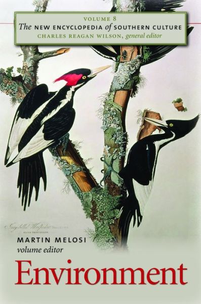 Cover for Martin Melosi · The New Encyclopedia of Southern Culture: Volume 8: Environment - The New Encyclopedia of Southern Culture (Paperback Book) [New edition] (2007)