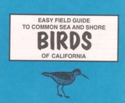 Cover for Sharon Nelson · Easy Field Guide to Common Sea and Shore Birds of California (Paperback Book) [UK Ed. edition] (1995)