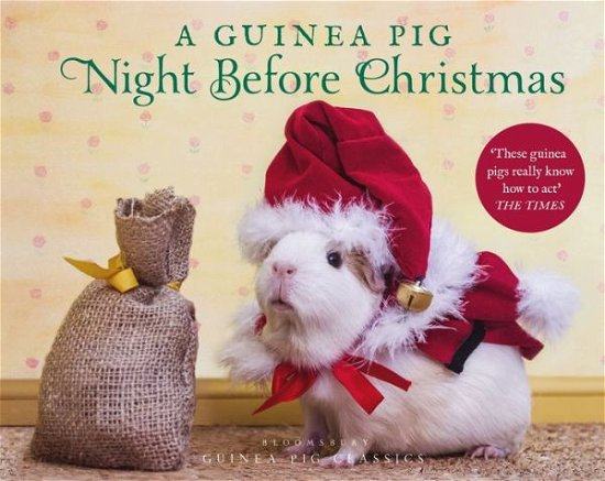 Cover for Clement Clarke Moore · A Guinea Pig Night Before Christmas - Guinea Pig Classics (Hardcover Book) (2020)