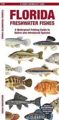 Cover for Morris, Matthew, Waterford Press · Florida Freshwater Fishes: A Folding Guide to Native and Introduced Species - Pocket Naturalist Guide (Pamflet) (2024)