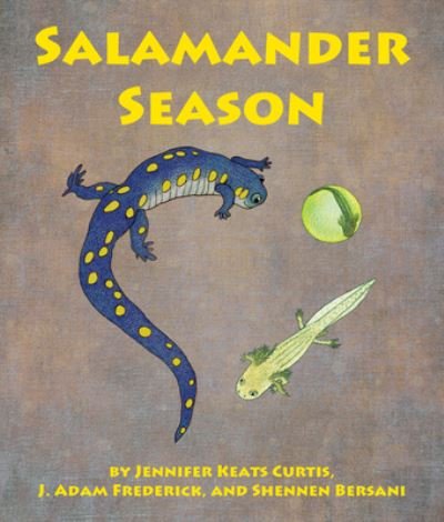 Cover for Jennifer Keats Curtis · Salamander season (Book) (2015)