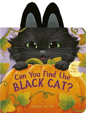 Cover for Danielle Mclean · Can You Find The Black Cat? (Buch) (2025)