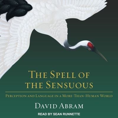 Cover for David Abram · The Spell of the Sensuous (CD) (2017)