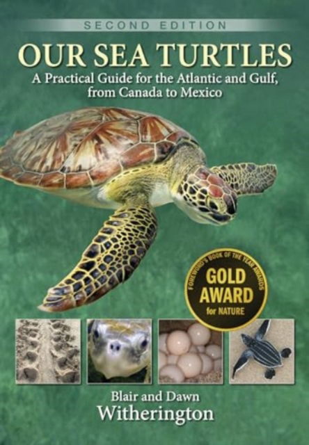 Cover for Blair Witherington · Our Sea Turtles: A Practical Guide for the Atlantic and Gulf, from Canada to Mexico (Paperback Book) [Second Edition, Abridged edition] (2024)