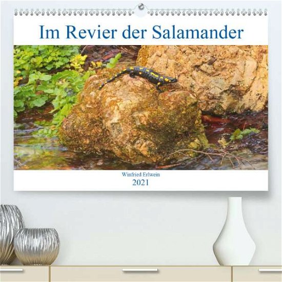 Cover for Erlwein · Im Revier der Salamander (Premi (Book)