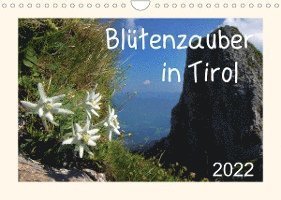 Cover for Leon · Blütenzauber in Tirol (Wandkalender 2022 DIN A4 quer) (Calendar) (2021)