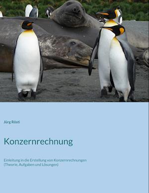 Cover for Jürg Rösti · Konzernrechnung (Hardcover Book) (2021)