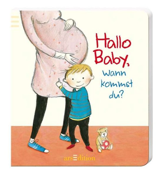 Cover for Hauenschild · Hallo Baby, wann kommst du? (Spielzeug)