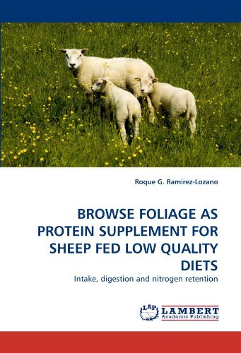 Cover for Roque G. Ramirez-lozano · Browse Foliage As Protein Supplement for Sheep Fed Low Quality Diets: Intake, Digestion and Nitrogen Retention (Paperback Book) (2011)