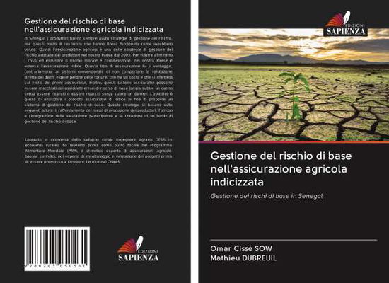 Cover for Sow · Gestione del rischio di base nell'a (Book)