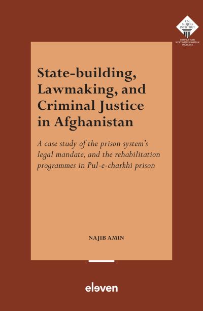 Cover for Najib Amin · State-Building, Lawmaking, and Criminal Justice in Afghanistan (Book) (2023)