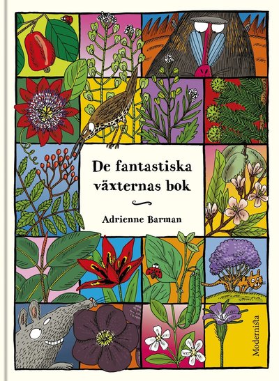 De fantastiska växternas bok - Adrienne Barman - Boeken - Modernista - 9789177819561 - 15 juli 2019