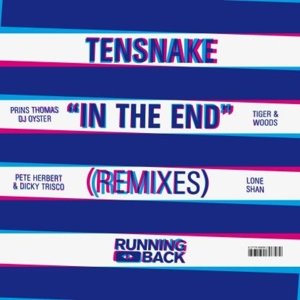 Cover for Tensnake · In the End, Rmxs by Tiger&amp;woods, Shan, DJ Oyster (LP) (2015)